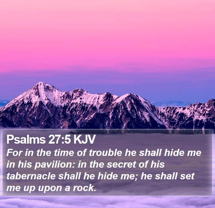 Day 7 of the great freeze of 2026